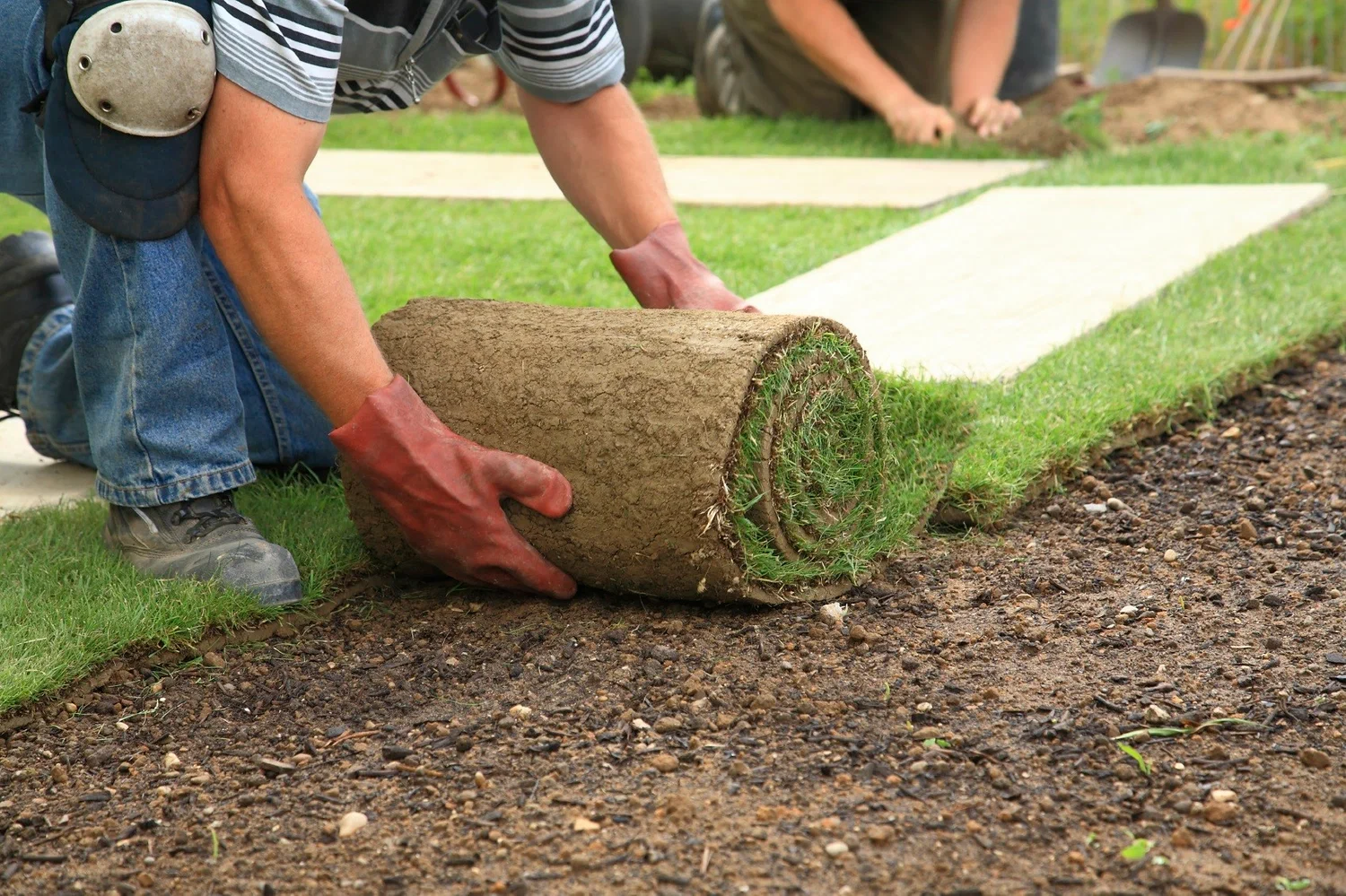 Landscape Construction