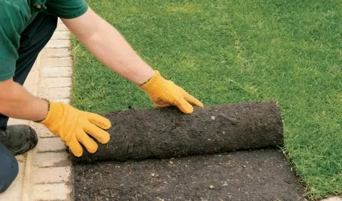 sod installation